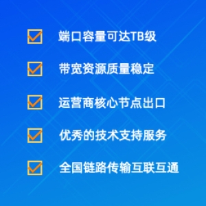 移动大带宽租用